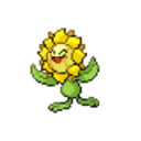 192 Sunflora icon
